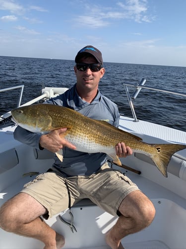 Trophy Red Drum Trip in New Bern