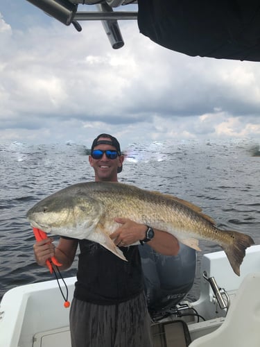 Trophy Red Drum Trip in New Bern