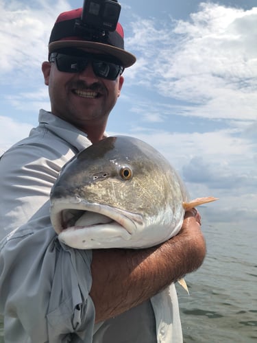 Trophy Red Drum Trip in New Bern
