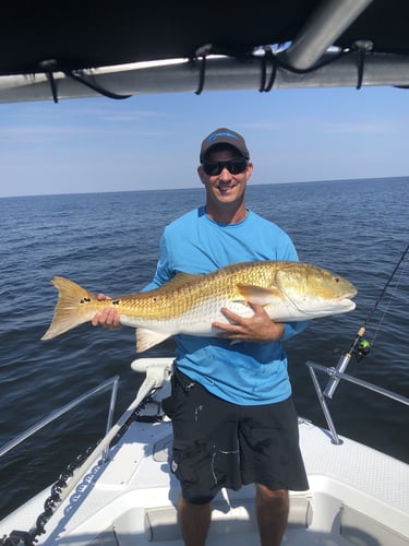 Trophy Red Drum Trip in New Bern