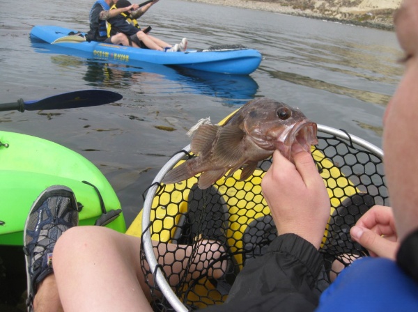 Pismo Beach Kayak Fishing Special In Pismo Beach