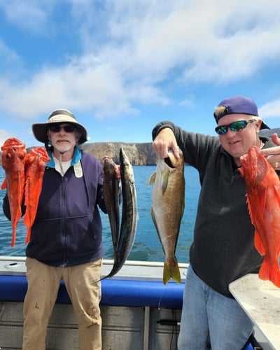 Santa Cruz Island Adventure In Oxnard