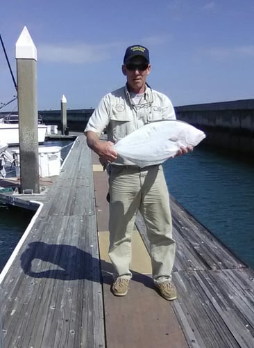 Oyster Point Halibut Rockfish and more!