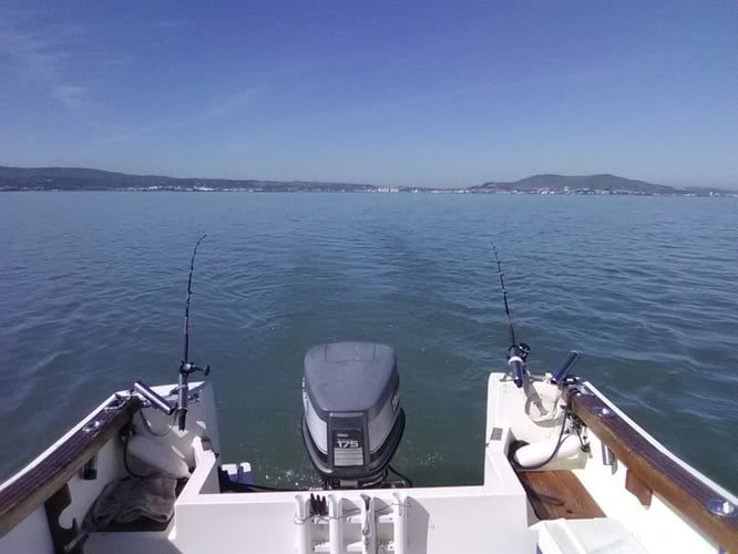 Oyster Point Rocks And Reef Trip In South San Francisco