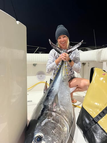 Offshore Tuna Chase In San Diego