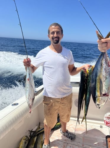 Offshore Tuna Chase