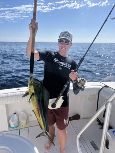 Offshore Tuna Chase In San Diego
