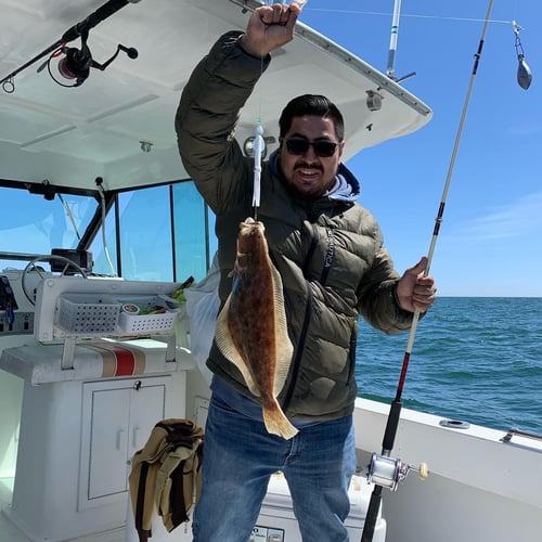 Stripers, Sea Bass & More In Montauk