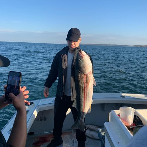 Stripers, Sea Bass & More In Montauk