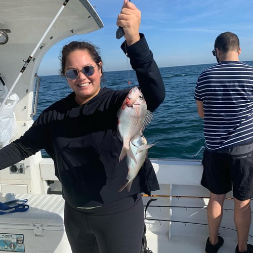 Stripers, Sea Bass & More In Montauk