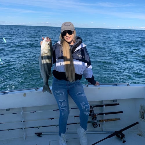 Stripers, Sea Bass & More In Montauk