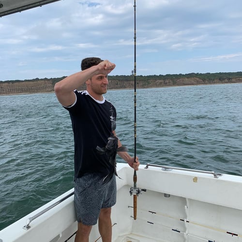 Stripers, Sea Bass & More In Montauk