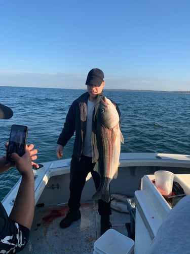 Stripers, Sea Bass & More In Montauk