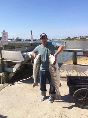 Stripers, Sea Bass & More In Montauk