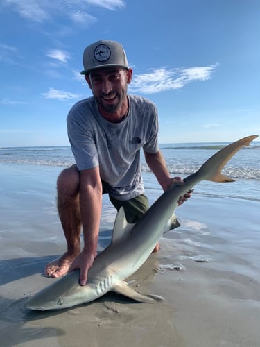 Surf Fishing Success In Melbourne Beach