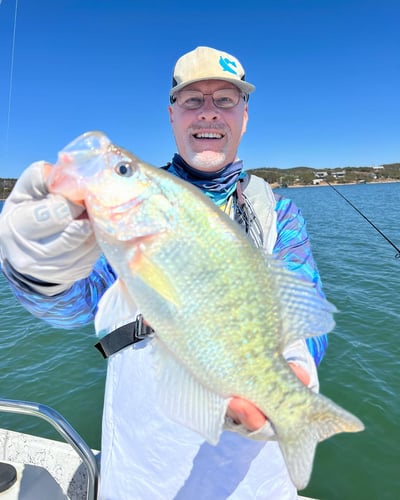 Granger Crappie Fishing In Taylor