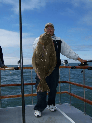 Striped Bass and Halibut Roundup