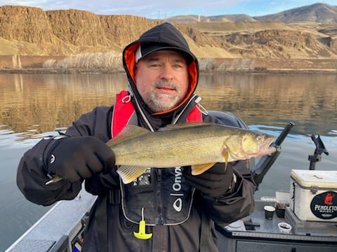 Columbia River Trophy Walleye In Portland