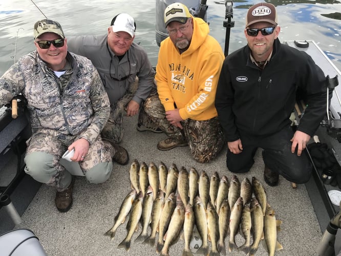 Columbia River Trophy Walleye In Portland