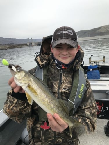 Columbia River Trophy Walleye In Portland