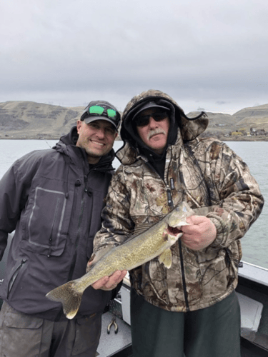 Columbia River Trophy Walleye In Portland