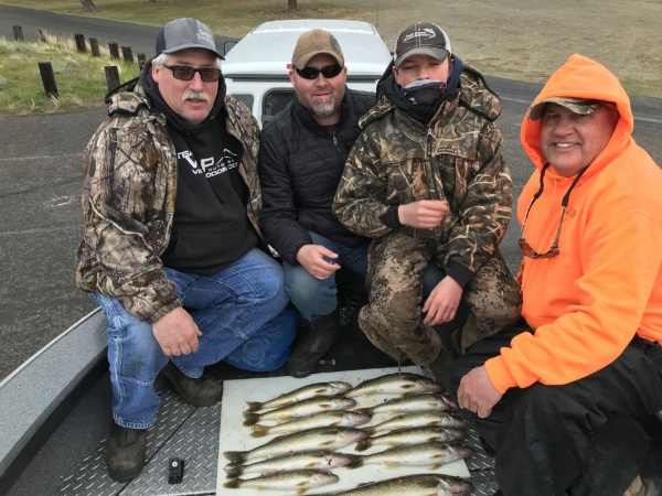 Columbia River Trophy Walleye In Portland