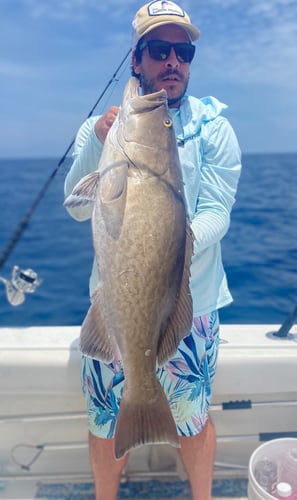 Tampa Bay Nearshore Run In St. Petersburg