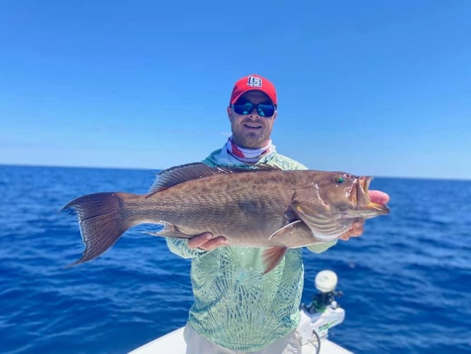 Tampa Bay Nearshore Run In St. Petersburg