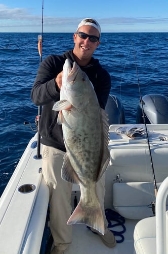 Tampa Bay Nearshore Run In St. Petersburg