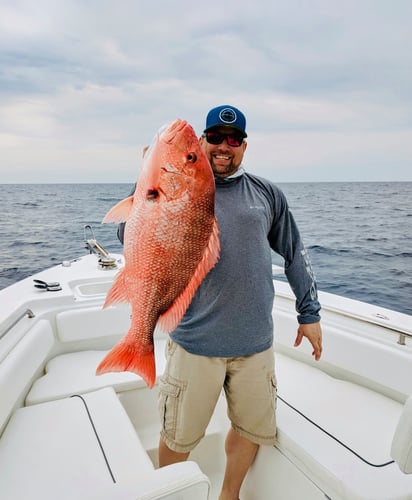 Tampa Bay Nearshore Run In St. Petersburg