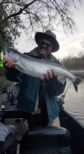 Steelhead Hook-Up In Montesano