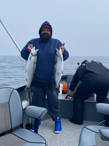 Inshore-Jetty Salmon Fishing In Tillamook