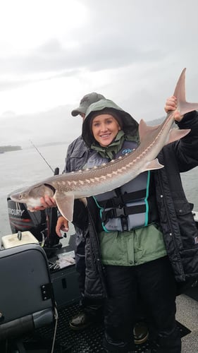 Columbia River Sturgeon Fishing In Astoria