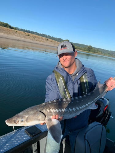 Columbia River Sturgeon Fishing In Astoria