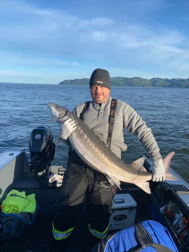 Columbia River Sturgeon Fishing In Astoria