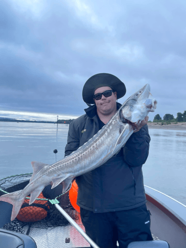 Columbia River Sturgeon Fishing In Astoria