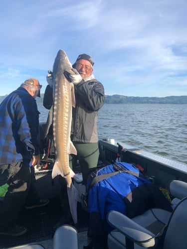 Columbia River Sturgeon Fishing In Astoria