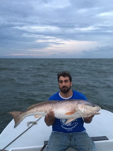 Trophy Red Drum Trip In Morehead City