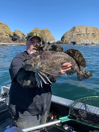 Halibut, Seabass & Lingcod Bottom Fishing In Garibaldi