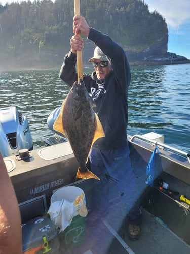 Halibut, Seabass & Lingcod Bottom Fishing In Garibaldi