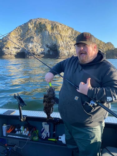 Halibut, Seabass & Lingcod Bottom Fishing In Garibaldi