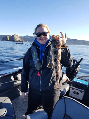 Halibut, Seabass & Lingcod Bottom Fishing In Garibaldi