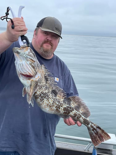 Halibut, Seabass & Lingcod Bottom Fishing In Garibaldi