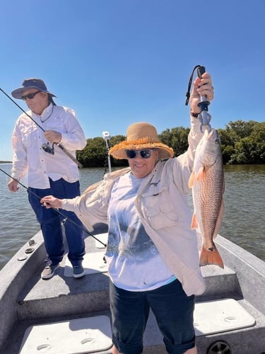 Crystal River Rod-Bender in Crystal River