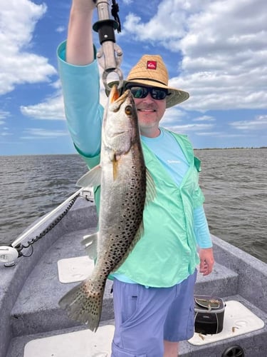 Crystal River Rod-Bender in Crystal River