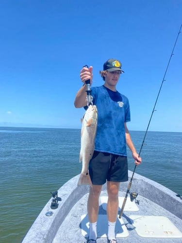 Crystal River Rod-Bender in Crystal River