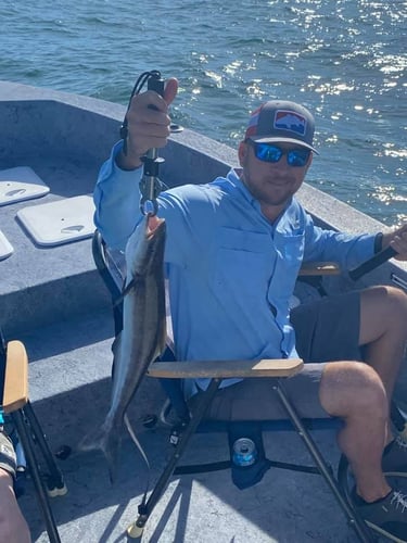 Crystal River Rod-Bender in Crystal River