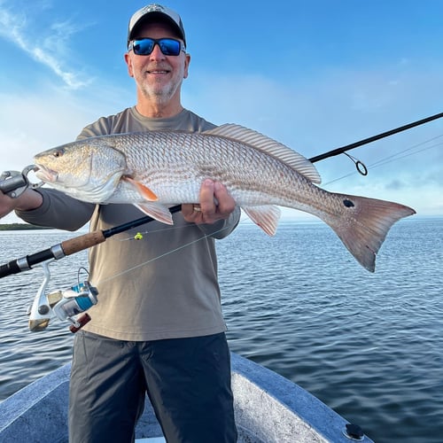 Crystal River Rod-Bender in Crystal River