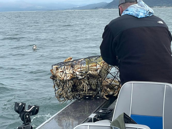 Combination Salmon, Bottom Fish And Dungeness Crab Trip In Garibaldi