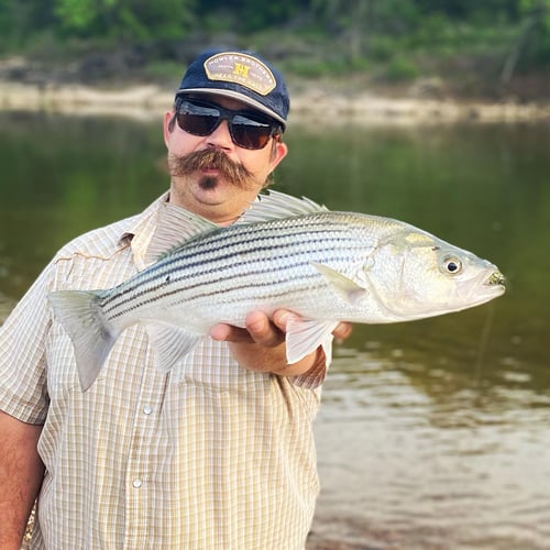 Brazos River Luxury Overnight In Granbury